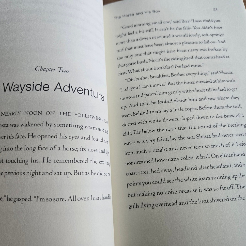 HarperCollins The Horse and His Boy C.S. Lewis Narnia Hardcover Book - Picture 7 of 10